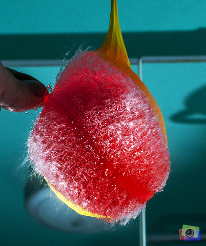 Balloon and Coloured Water for Contrast